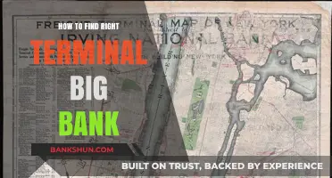 Choosing the Right Terminal for Your Big Bank Needs: A Guide