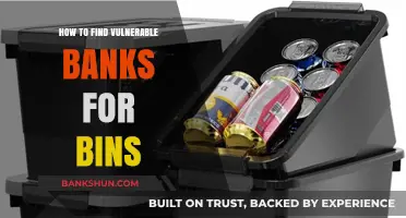 Identifying Vulnerable Banks for Bins: A Comprehensive Security Guide