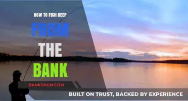 Master Bank Fishing: Techniques for Deep Water Catches