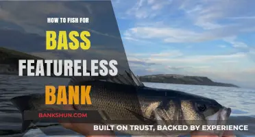 Mastering Bass Fishing on Featureless Banks: Proven Techniques for Success
