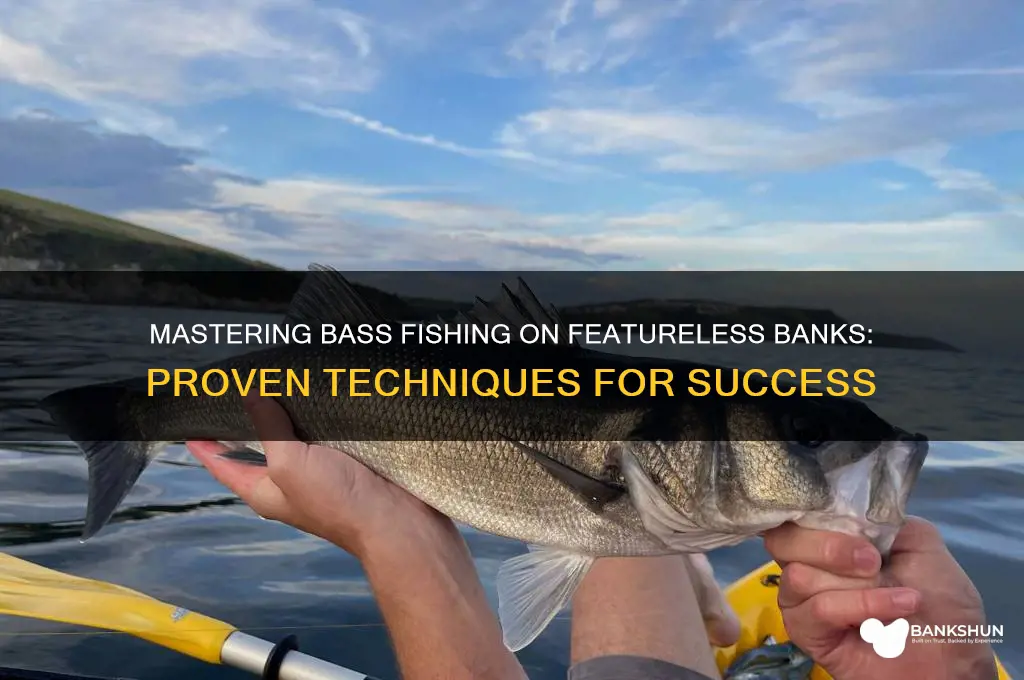 how to fish for bass featureless bank