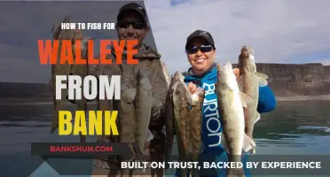 Master Bank Fishing for Walleye: Proven Tips and Techniques
