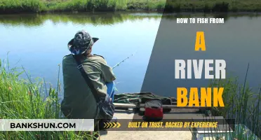 Master River Bank Fishing: Essential Tips for Successful Catches