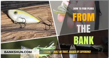 Master Bank Fishing: Effective Techniques to Fish Plugs from Shore
