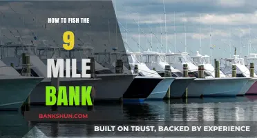 Mastering the 9 Mile Bank: Essential Fishing Tips and Techniques