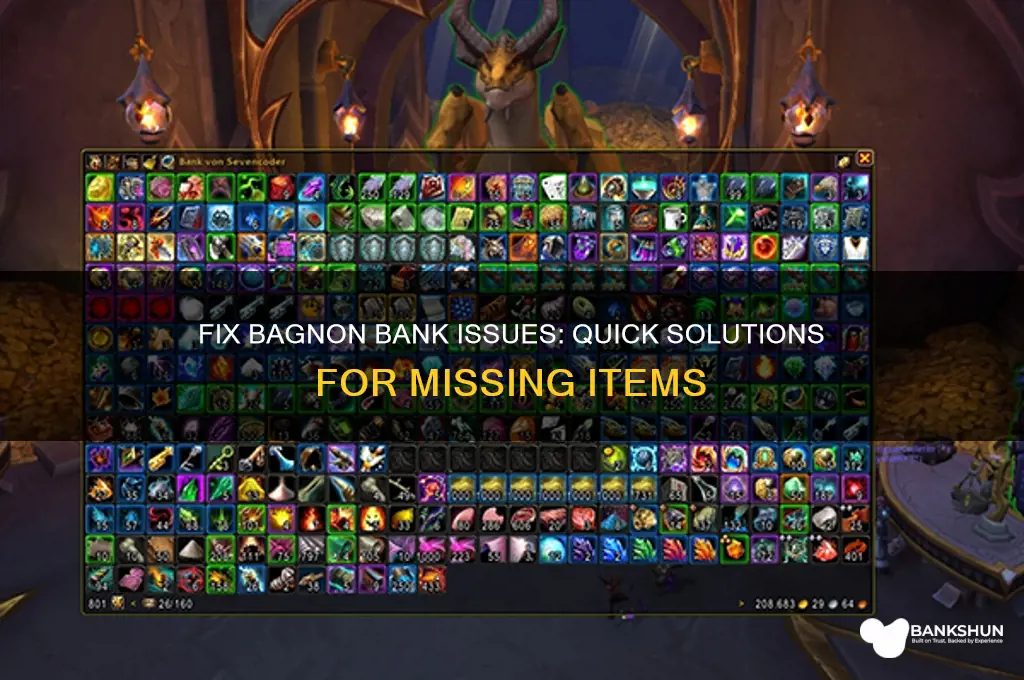 how to fix bagnon not showing bank