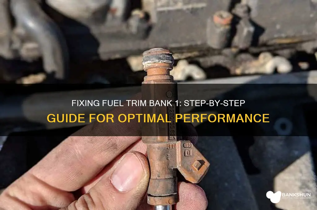 how to fix fuel trim bank 1