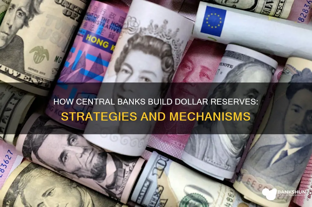 how to foriegn reserve banks accumulate dollars