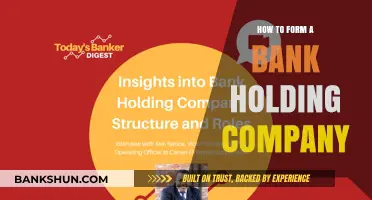Steps to Establish a Successful Bank Holding Company Structure