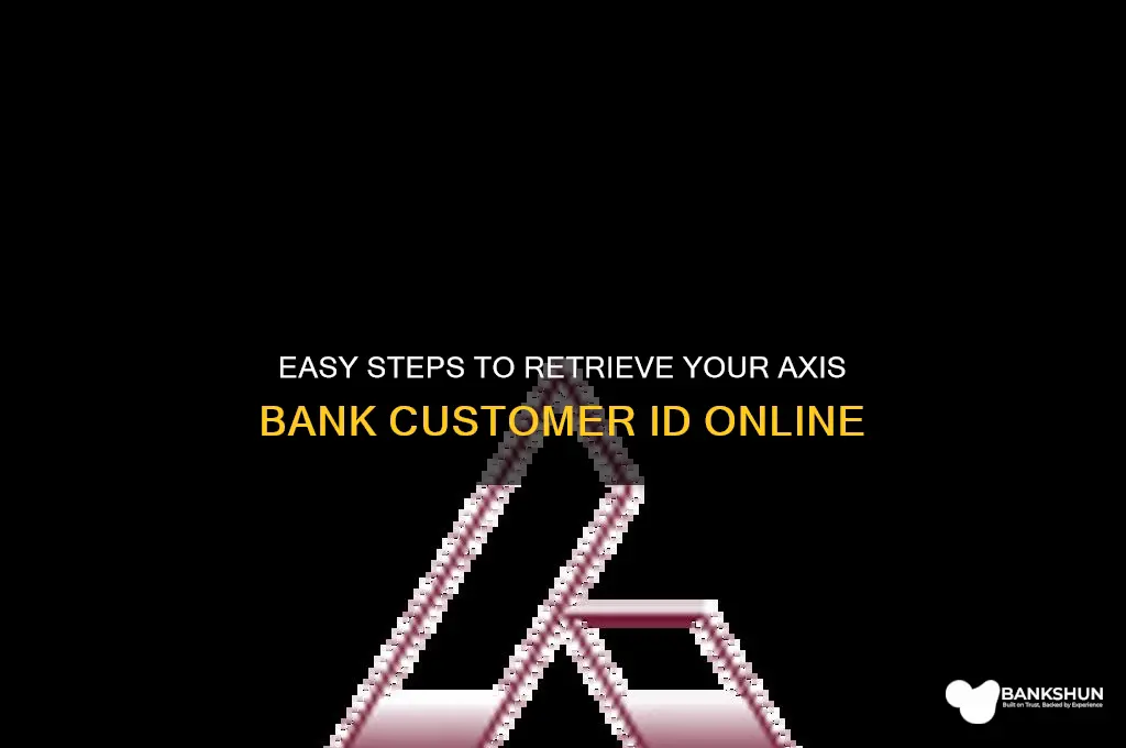 how to generate axis bank customer id