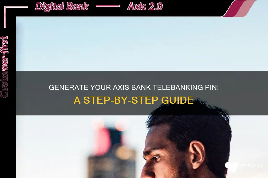 how to generate telebanking pin axis bank