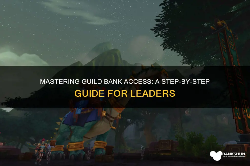 how to grant access to guild bank