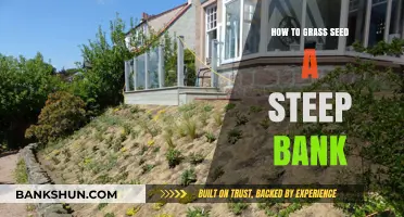 Grass Seeding a Steep Bank: Tips for Successful Erosion Control