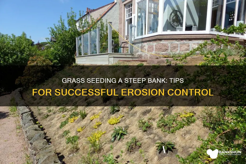 how to grass seed a steep bank