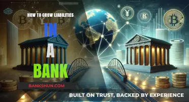Strategies for Expanding Bank Liabilities: A Comprehensive Growth Guide