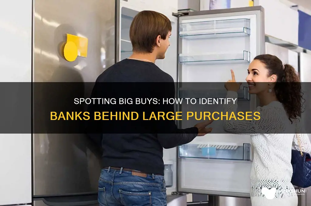 how to identify bank of large purchase
