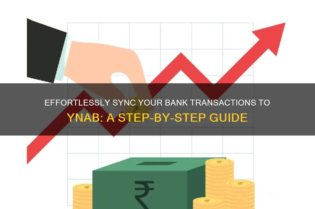 how to import into ynab from bank