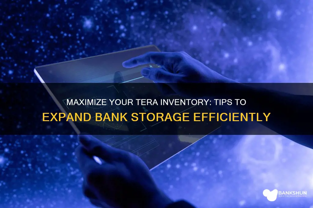 how to increase bank space in tera