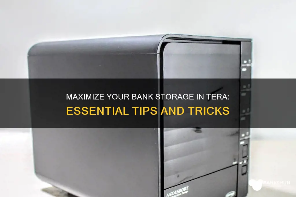 how to increase bank storage in tera