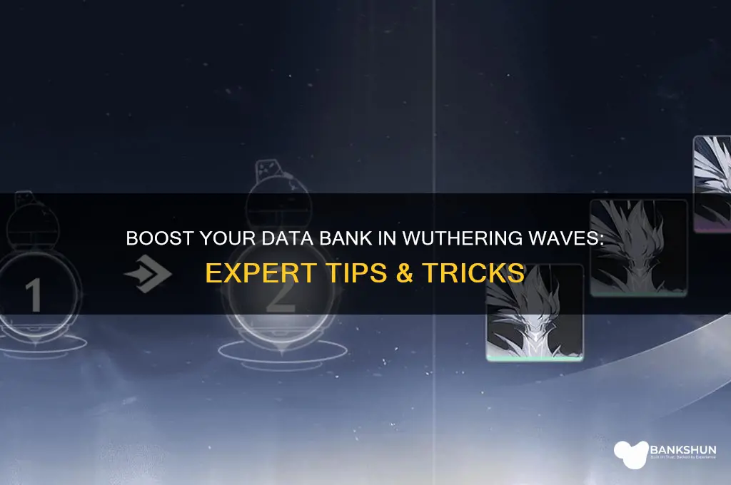 how to increase data bank wuthering waves
