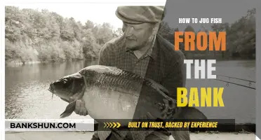 Master Bank Fishing: Effective Techniques to Jug Fish Successfully
