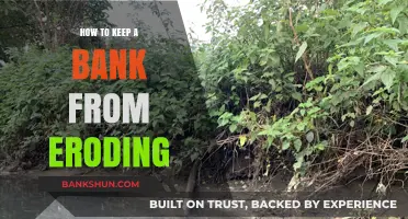 Prevent Bank Erosion: Effective Strategies for Long-Term Riverbank Stability