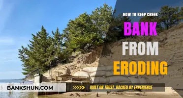 Prevent Creek Bank Erosion: Effective Strategies for Long-Lasting Stability
