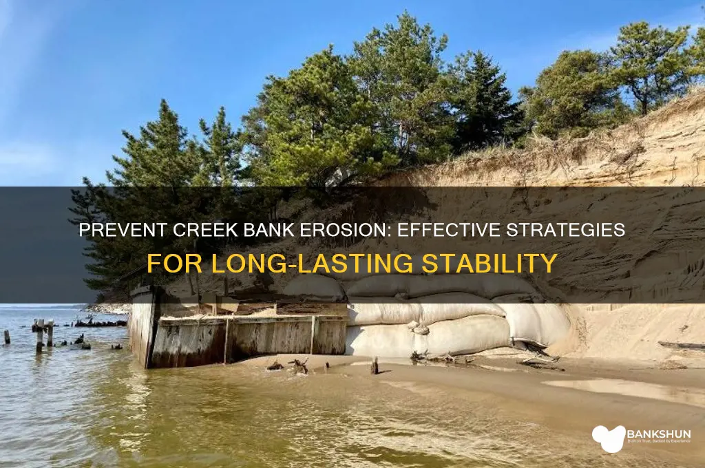 how to keep creek bank from eroding