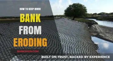 Effective Strategies to Prevent River Bank Erosion and Protect Shorelines