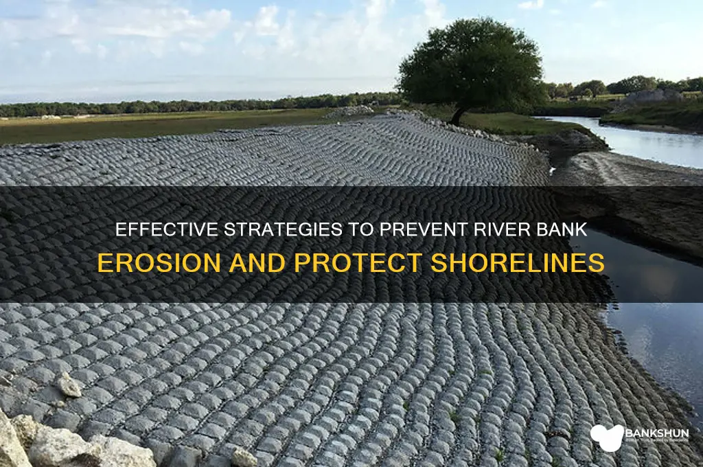 how to keep river bank from eroding