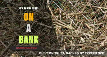 Effective Methods to Eliminate Grass on Sloped Banks Safely