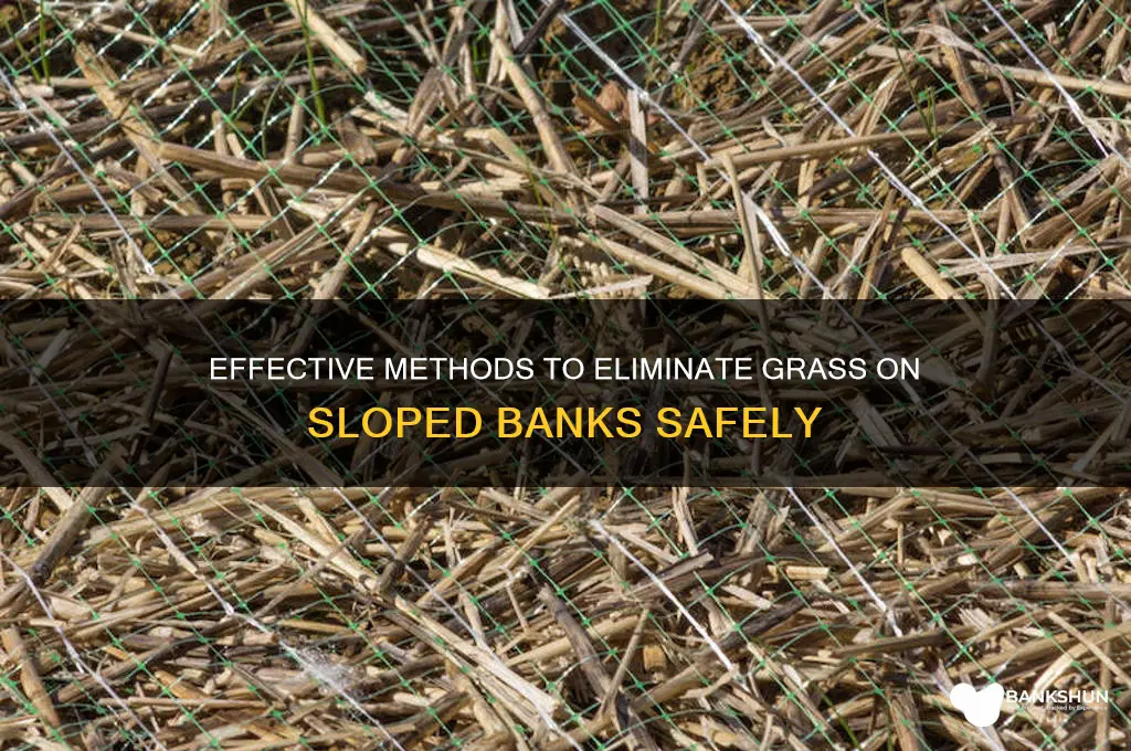 how to kill grass on a bank