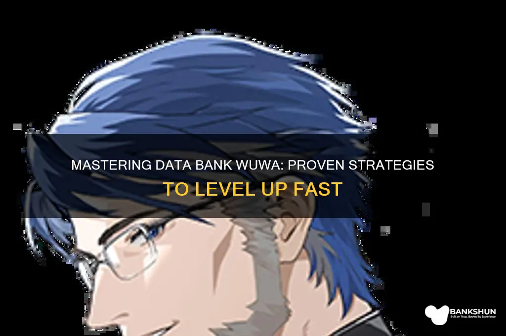 how to level up data bank wuwa