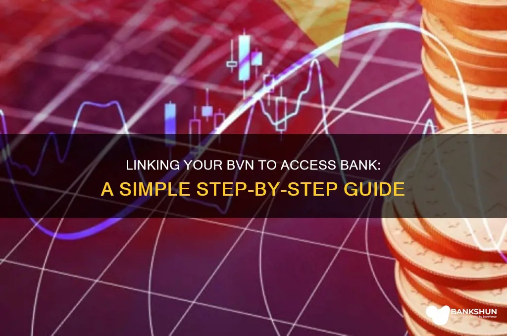 how to link bvn to access bank