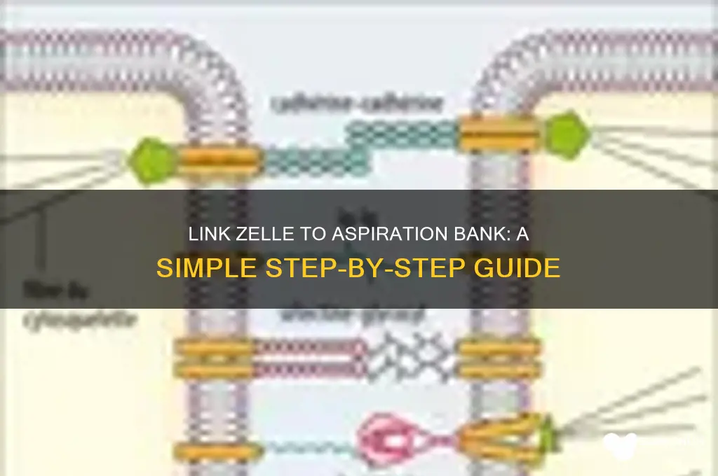 how to link zelle to aspiration bank
