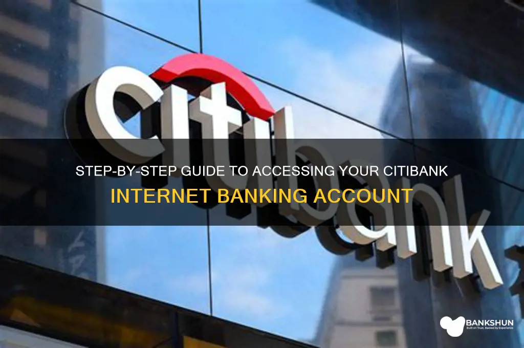 how to login in citibank internet banking