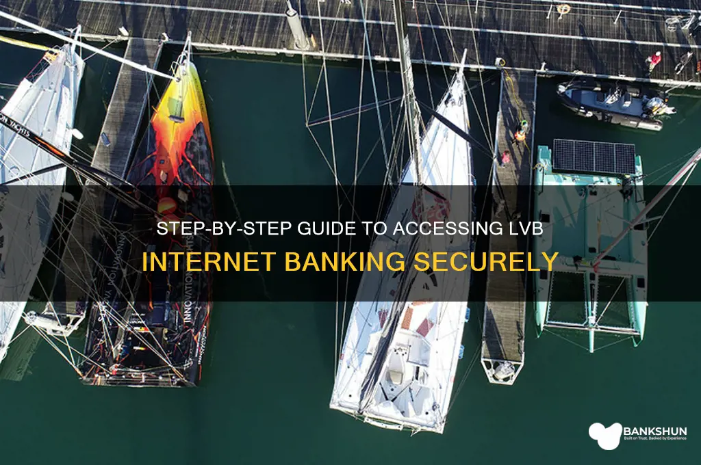 how to login internet banking in lvb