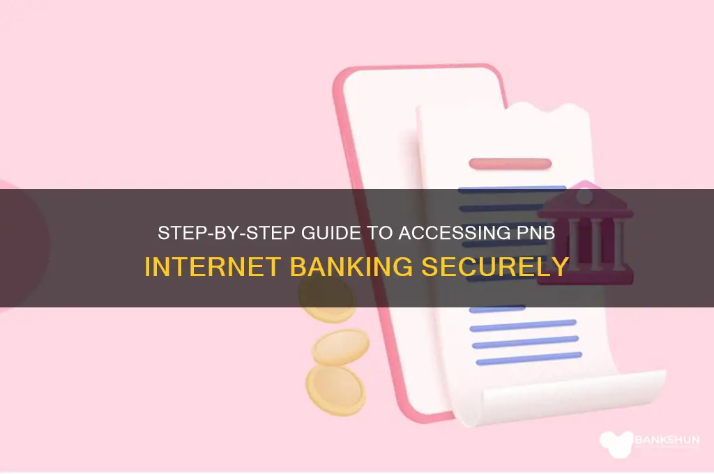 how to login internet banking in pnb