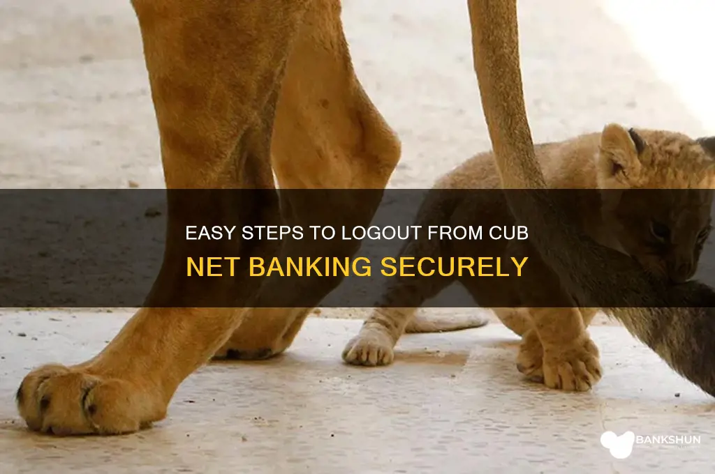 how to logout from cub net banking