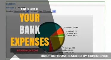 Master Your Finances: A Simple Guide to Analyzing Bank Expenses