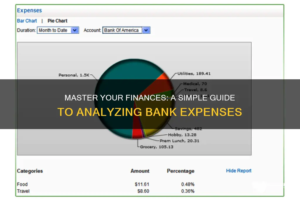 how to look at your bank expenses