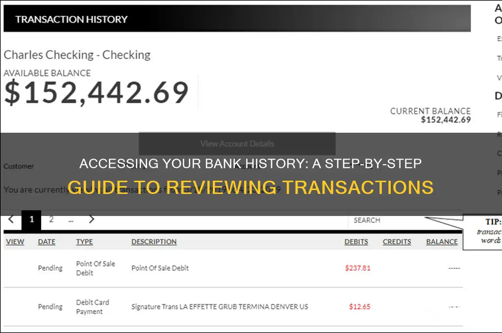 how to look up my bank history