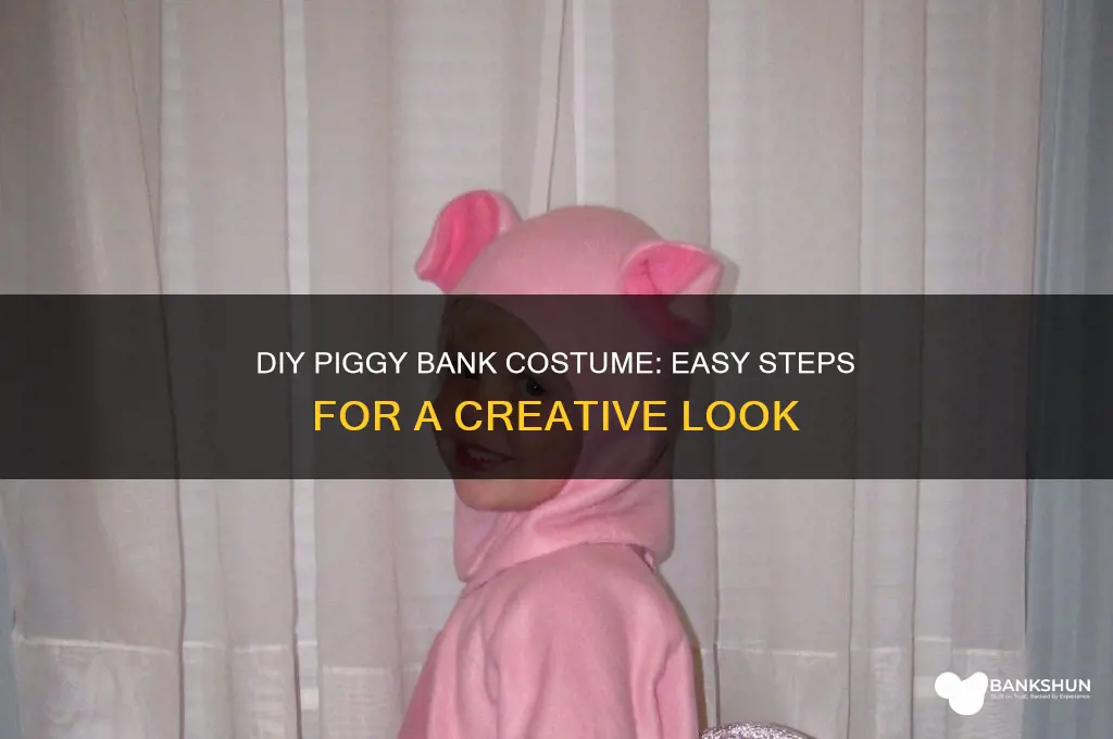 how to make a piggy bank costume