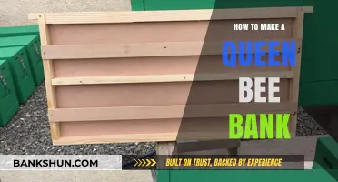 Creating a Queen Bee Bank: Essential Steps for Beekeepers