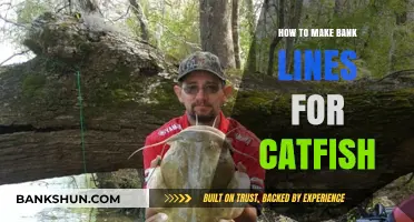 Mastering Bank Lines: Effective Techniques for Catching Catfish Successfully
