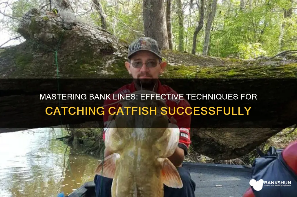 how to make bank lines for catfish