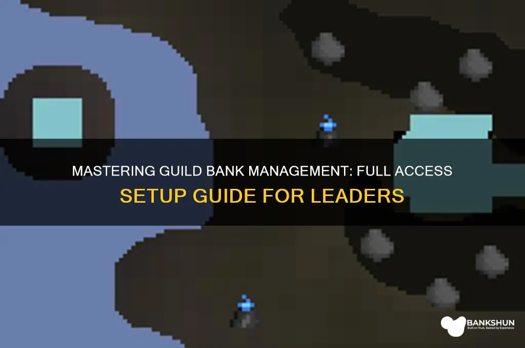 how to make full access guild bank