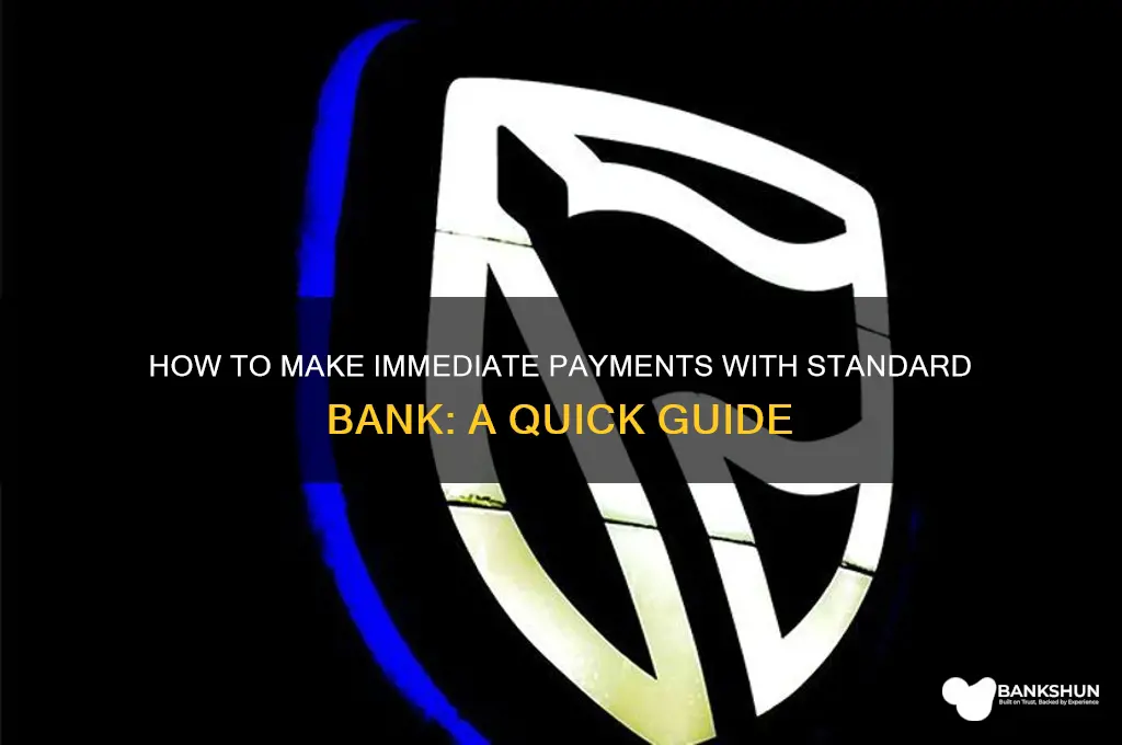how to make immediate payment standard bank