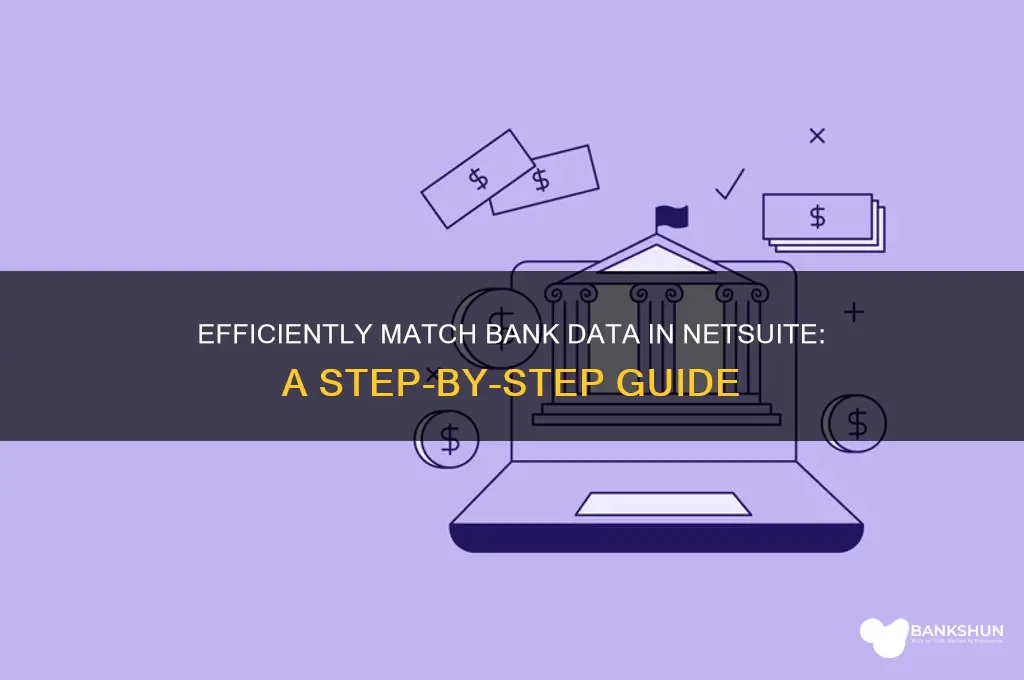 how to match bank data in netsuite