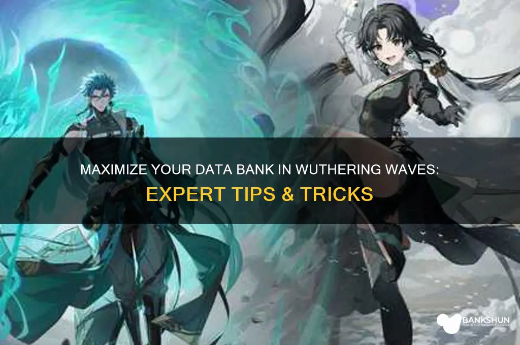 how to max data bank wuthering waves